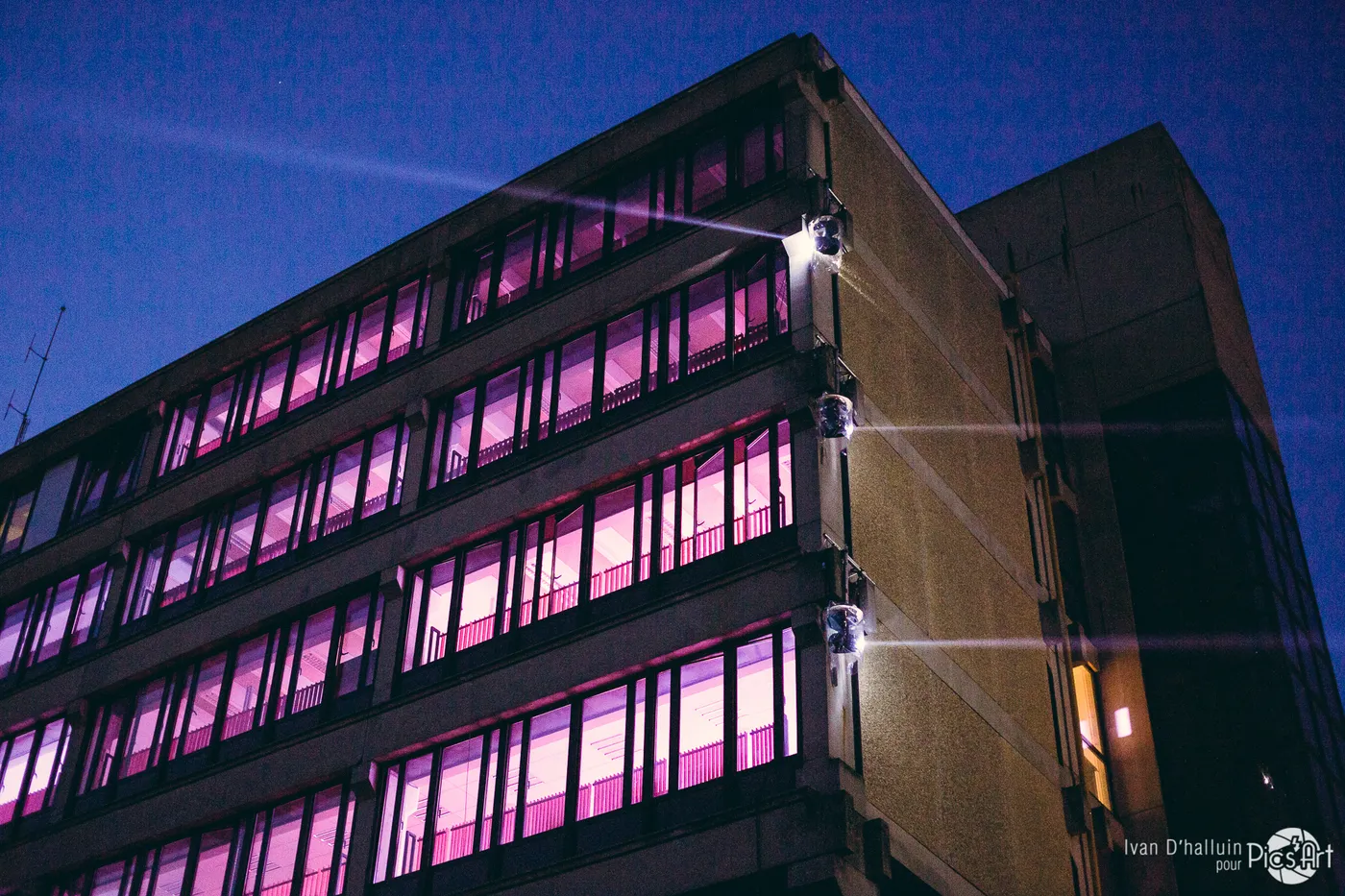 Building facade lit hot magenta with spotlight flares under a night sky